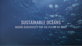 Sustainable Oceans: Marine Biodiversity for the Future We Want
