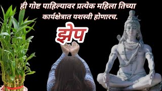 झेप / प्रत्येक महिलेने पहावी अशी कथा / ही गोष्ट ऐकल्यावर तुम्ही मेहनत करून यशस्वी होणारच