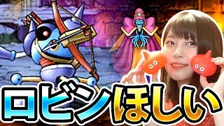 【DQMSL】まったり探求の旅周回します！！！【ロビンほしい】