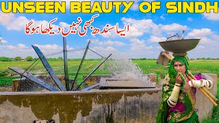 Unseen Beauty Of Sindh | Khoski Badin | Interior Sindh | Village Life Of Sindh