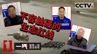 《一线》千年古树险些被盗 特大盗挖大树系列案告破 十几个团伙百来人被抓 20210720 | CCTV社会与法