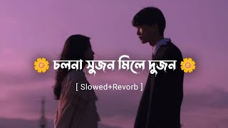 চলনা সুজন মিলে দুজন cholna sujon mile dujon bangla song