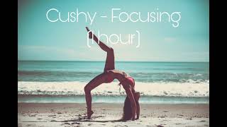 Cushy - Focusing (1 HOUR)