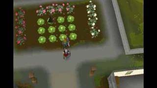 level 3 clue scroll part 1