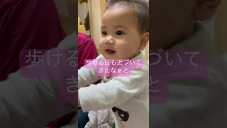 つかまり立ちをマスターした8ヶ月ベビー💕#shorts #育児 #子育て #日常 #0歳児