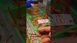 Japanese crab Teradomari Niigata Japan 新潟 寺泊 蟹 角上海鮮