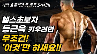 헬스초보자, 등운동 이거 '3개'만 하세요!