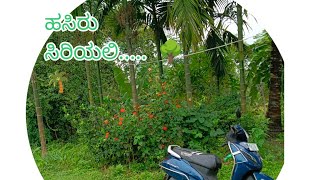 ಯಾರಿಗೆಲ್ಲ ತೋಟ ಹೊಲ ಇಷ್ಟ ... 🌴🥰😍ನೋಡಿ ನನ್ನ ತೋಟನ ಒಮ್ಮೆ ...🌳💚🌴🍀ಹಳ್ಳಿ ಜೀವನ ನೆಮ್ಮದಿ ಜೀವನ.... 🤗