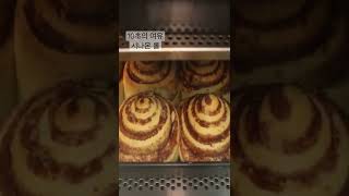 10초의 여유 - 시나몬 롤. #bakery #meditation #shorts #bread #cinnamon