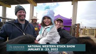 The City \u0026 County of Denver Welcomes The National Western Stock Show