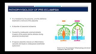 Hypertension in Pregnancy Role of the Internist Dr Bet Routledge SIMCON2022