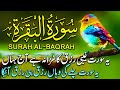 Surah Al-Baqarah Full || By Sheikh Safdar (HD) With Arabic | سورة البقره |Ep 134