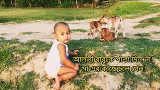 Baby and Baby Goats | ছাগল ছানা গুলোকে ধরার চেষ্টা করছে আলভী বাবু |  Alvi Daily Vlog