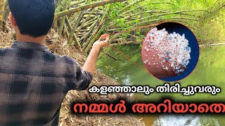 Microplastics Explained in Malayalam