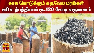 காசு கொடுக்கும் கருவேல மரங்கள் - கரி உற்பத்தியால் ரூ.120 கோடி வருமானம்