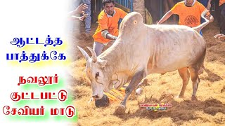 ஆத்தாடி ஆத்தே என்னப்பா இந்த ஆட்டம் ஆடுது