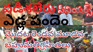 వడిశిలేరు బుల్లెట్ ఎడ్ల పందాలు