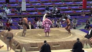 今日の若一郎/若一郎-謙信/2017.7.17/wakaichiro-kenshin/day9 #sumo