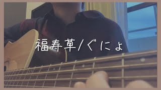 福寿草/ぐにょ【弾き語りcover】