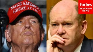 Chris Coons Asked Point Blank: 'How Do You Explain The Sweeping Victory For Donald Trump?'