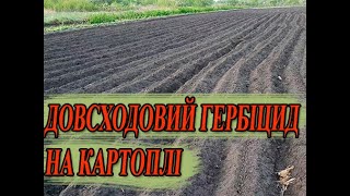 Досходовий гербіцид Гезагард (Прометрин) на картоплі.