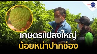 ศาสตร์ปันสุข : เกษตรแปลงใหญ่น้อยหน่าปากช่อง