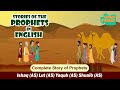 Prophet Stories In English |  Stories from the Quran | Islamic Stories | Quran Stories #islam #quran