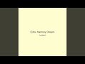 Echo Harmony Dream