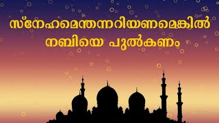 സ്നേഹമെന്തന്നറിയണമെങ്കിൽ നബിയെ പുൽകണം.സുന്ദരമായ മീലാദ് ഗാനം