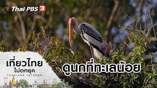 ดูนกที่ทะเลน้อย : เที่ยวทั่วไทย