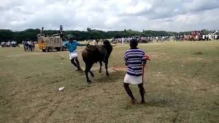 Thiruvidaiyarpatti sandiyar