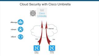 Viptela (Cisco SDWAN) and Cisco Umbrella integration