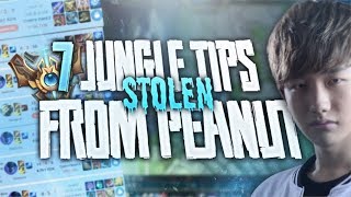 7 Jungle Tips Stolen From KZ Peanut (Season 8!)