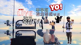 [훅킹TV] 군산 봄갑오징어낚시 3차전 [버저비터 5마리]