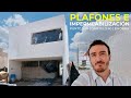 PLAFONES E IMPERMEABILIZACIÓN | PUNTO SUR | CAPÍTULO 60 | @FesterMexicoOficial