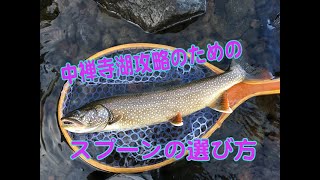 レイクが釣れる！中禅寺湖攻略のためのスプーンの選び方。fishing in Japan