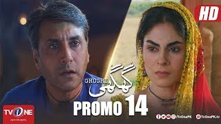 Ghughi Episode 14 Promo | TV One | Mega Drama Serial | 19 April 2018
