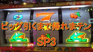 ビッグ引くまで帰れまテン　ニューパルサーＳＰ３　012