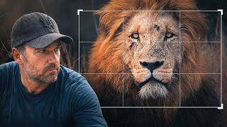 Many Wildlife Photographers Get Cropping WRONG (Here’s The FIX)