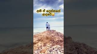 අනී ඒ දෙන්නගේ ආදරේ😂