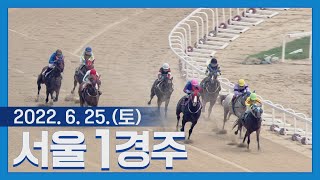 (서울) 22.06.25.1R 뛰어본 자가 다르다, 2세 신예마 대결!