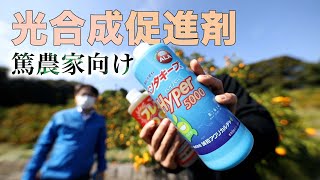 光合成促進講座【ペンタキープで収量・食味UP?】