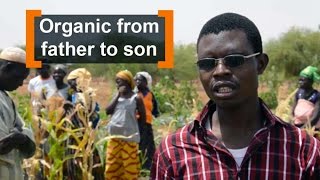 Burkina Faso: Organic from father to son