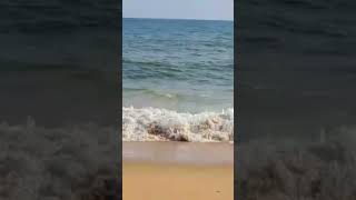 കടലിൻ്റെ ശബ്ദം കേട്ടോ.. 😳#sea #tredingshorts #kochuveli #viral