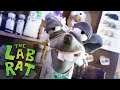 The Lab Rat | 