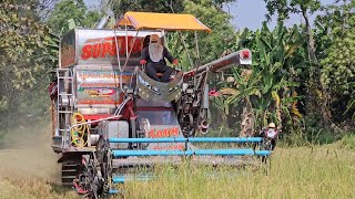 ศุภกรเจริญการช่างด่วนนาปรัง งานแรกของฤดูกาล |ต้นไทยเจริญจัดให้