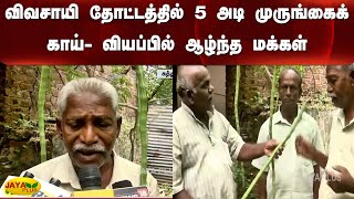 விவசாயி தோட்டத்தில் 5 அடி முருங்கைக்‍காய்- வியப்பில் ஆழ்ந்த மக்‍கள்  | DrumsStrick | Farmer