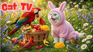 🚨 Warning: Cats & Dogs Won’t Look Away! 🐦 Addictive Garden Bird TV in 4K UHD