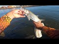 fishing at the torres jetty manpitúba river and its robal