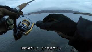 ２０２１年４月１日　オホーツク海　海サクラマスチャレンジ第１戦